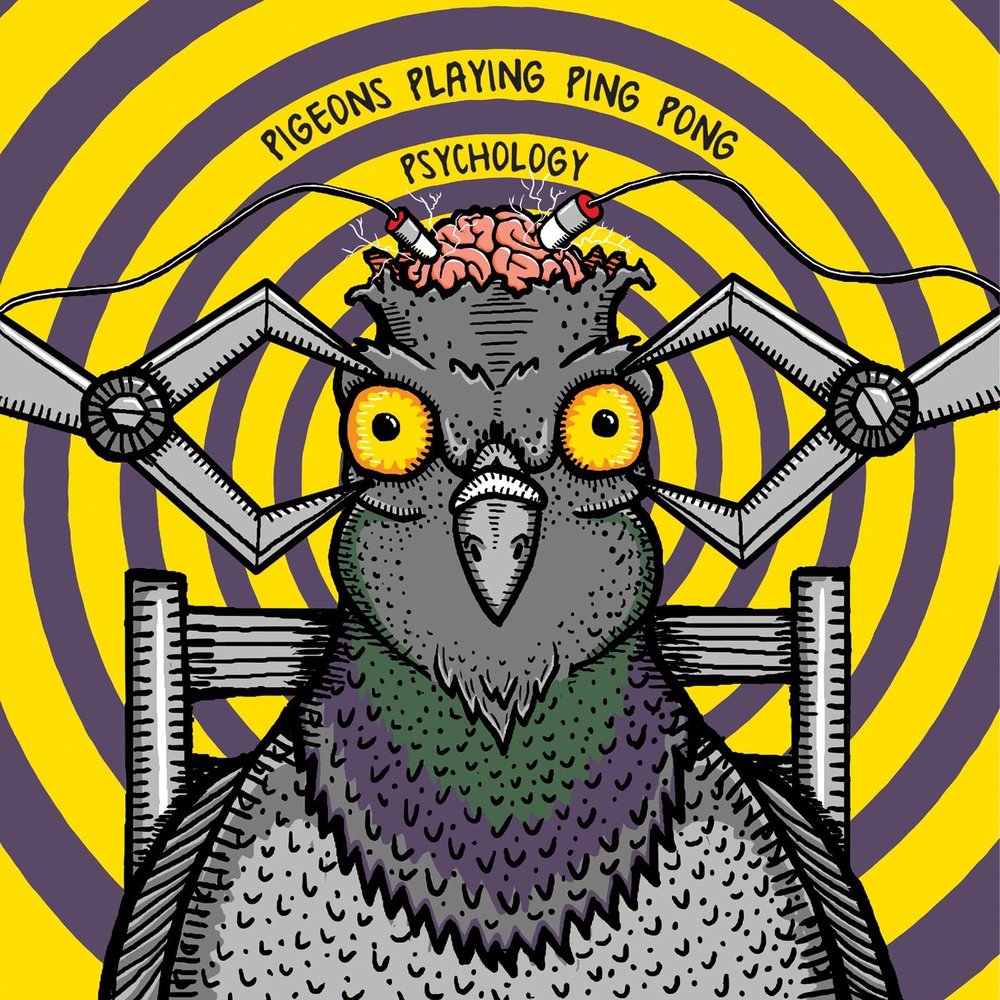 Pigeons Playing Ping Pong - Psychology (2014)