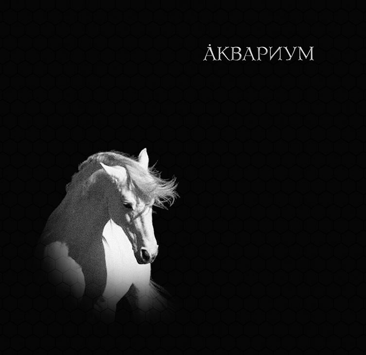 Обложка альбома Лошадь белая (2008) группы Аквариум