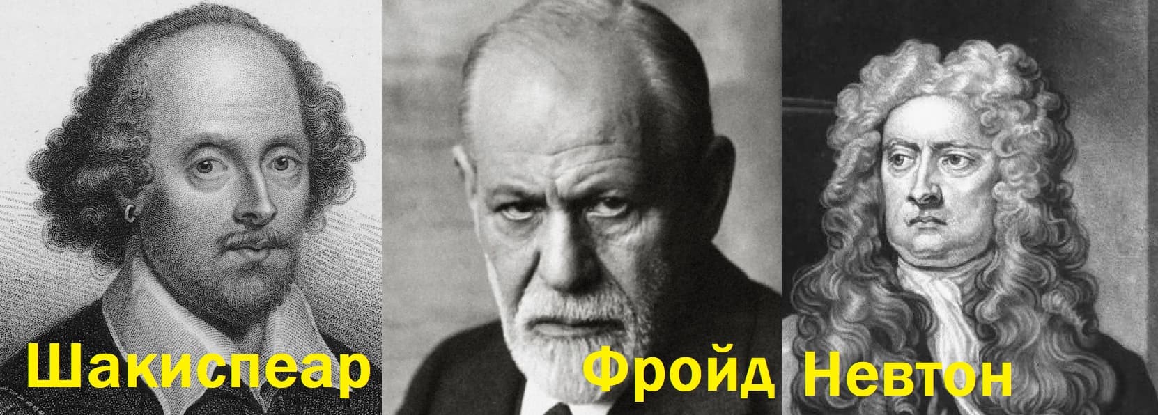 Шакиспеар, Фройд, Невтон
